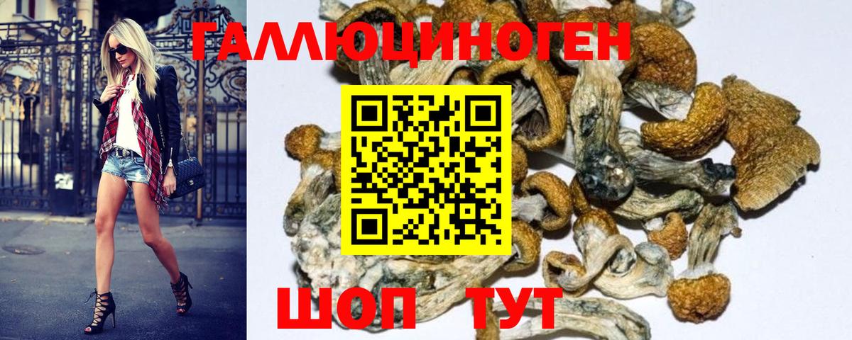 Псилоцибиновые грибы ЛСД Кузнецк
