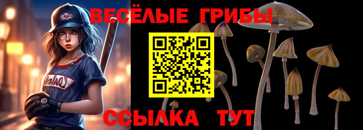 Псилоцибиновые грибы GOLDEN TEACHER  Вход с VPN  Кузнецк 