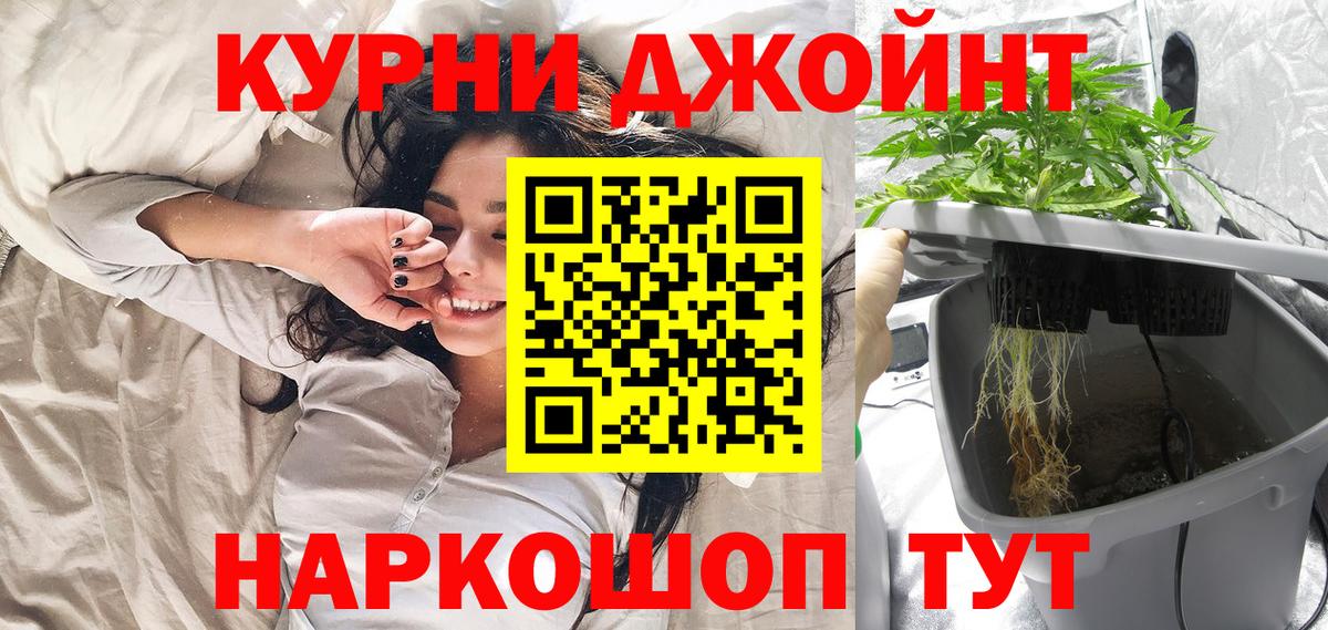 Кузнецк  Канабис план  Вход с VPN  Марихуана план  Канабис OG Kush 